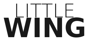 Little Wing IFF